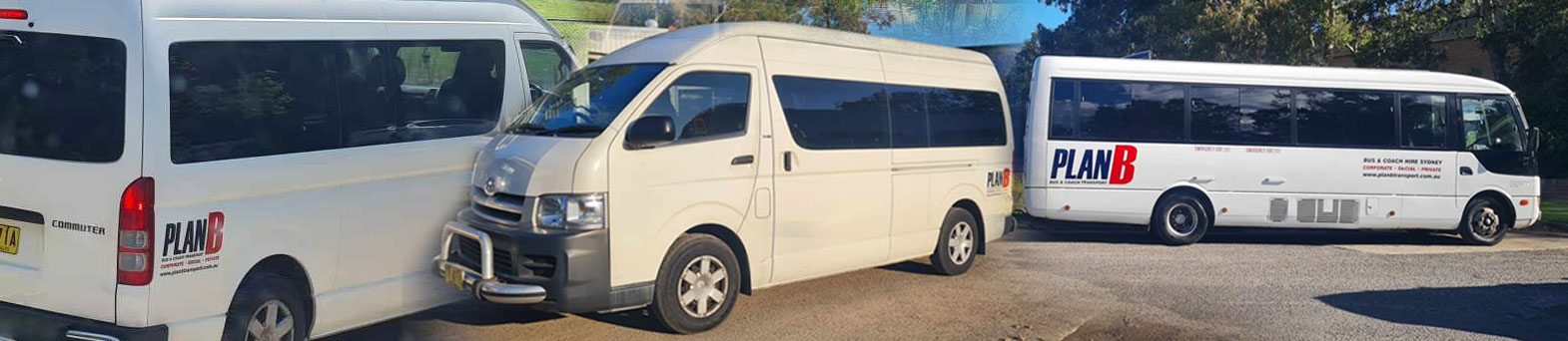 mini buses for hire sydney